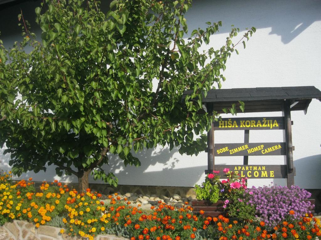 Апартаменты Hisa Korazija Рогашка Слатина Экстерьер фото